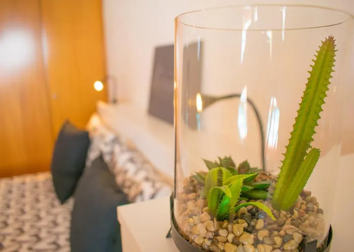 Duplex Paraiso Dream - Tenesol Apartamento